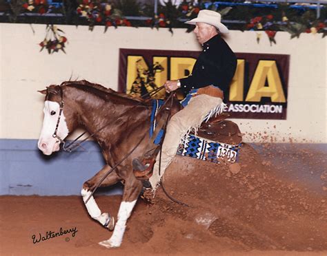 <strong>Colonels Smoking Gun (Gunner</strong>), a National Reining Horse Association Hall of Fame inductee, was the NRHA Futurity Reserve Champion in 1996, and tied for Reserve at the NRBC in 1998. . Colonels smoking gun offspring for sale